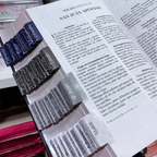 Biblia PERSONALIZADA León Deluxe Reina Valera 1960 Letra GRANDE con Liga