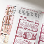 Biblia Reina Valera 1960 Fuente de Bendición Rosa PERSONALIZADA con Nombre + Tabs