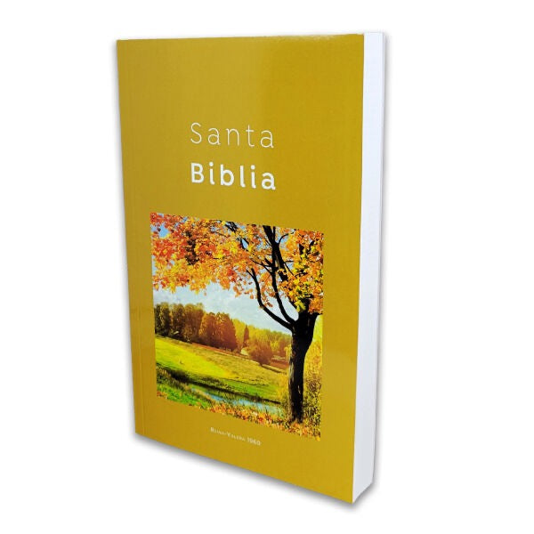Biblias Economica RVR 1960